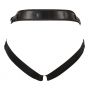 Zestaw strap on You2Toys z dwoma dildami - 21