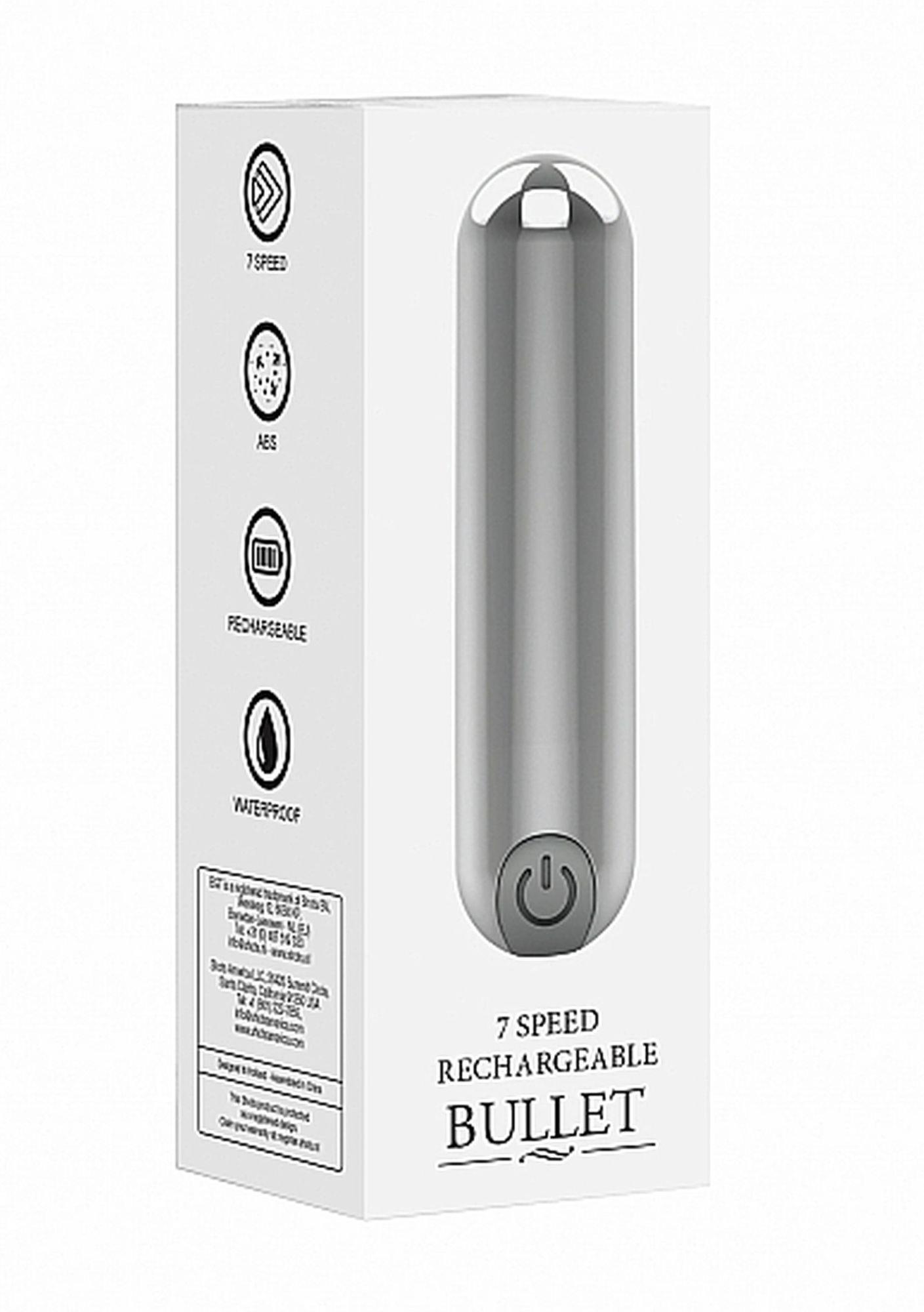 10 speed rechargeable bullet - silver