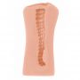 Masturbator Lola Toys Satisfaction Magazine cielisty TPE 12 cm - 4