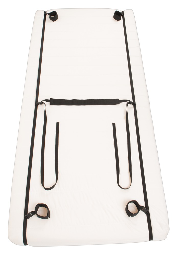 bad kitty door &bed restraints