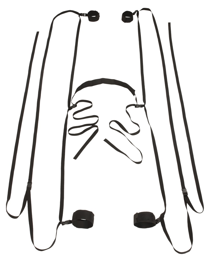 bad kitty door &bed restraints