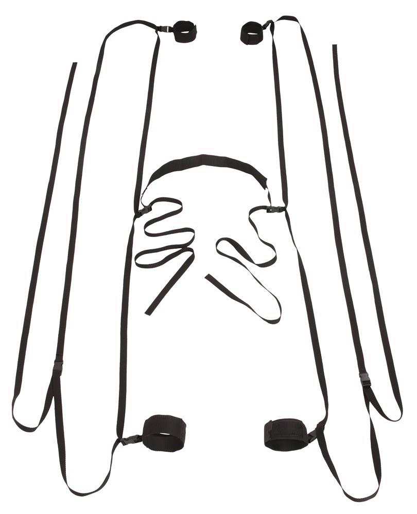 bad kitty door &bed restraints